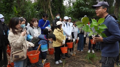 七星潭啟動臨海植群「宮脇法」復育，　營造親人的森林生態。